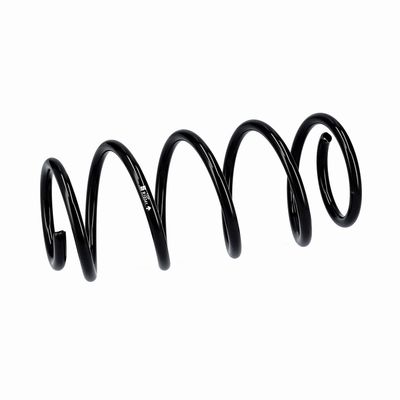 ARC SPIRAL EIBACH R10341 6