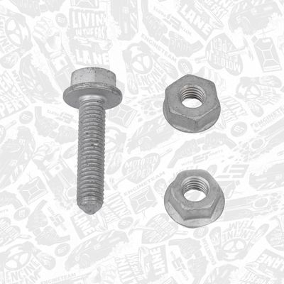 SET CUREA DE DISTRIBUTIE ET ENGINETEAM RM0017 6
