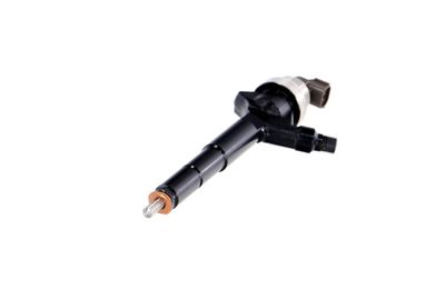 INJECTOR REMANTE 002003000192R 61