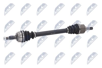 PLANETARA NTY NPWPE077 22