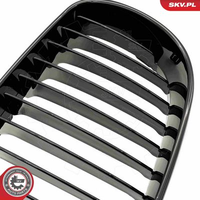 GRILA RADIATOR ESEN SKV 66SKV006 6