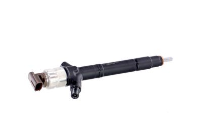 INJECTOR REMANTE 002003002041R 36