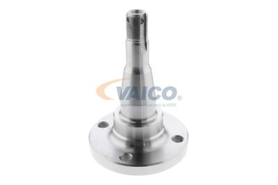 BUTUC ROATA CORP AXA VAICO V400793 12