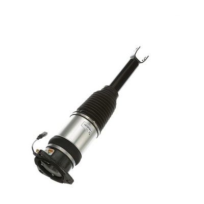 LUFTFEDERBEIN Arnott AS2968 72