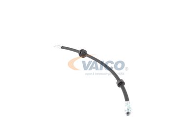 FURTUN FRANA VAICO V240328 9