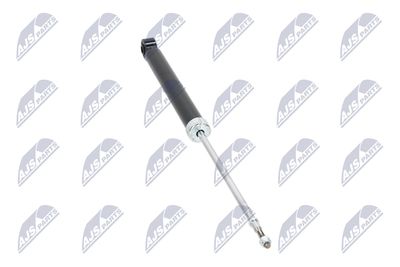 AMORTIZOR NTY APL020 31