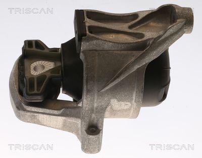 Zavěšení motoru TRISCAN 8505 29168