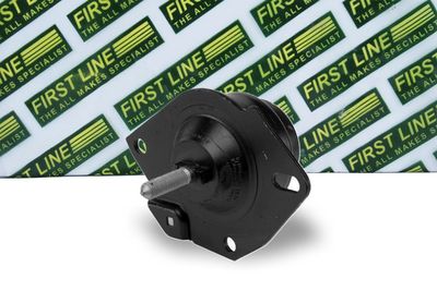 окачване, двигател FIRST LINE FEM3444