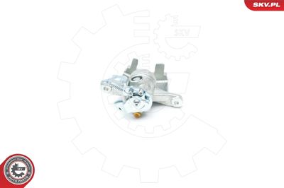 Brake Caliper 23SKV193