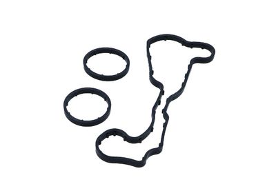 ETANSARE RACIRE ULEI MAXGEAR 700151 1