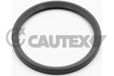 CAUTEX 773503 Воздушный патрубок для RENAULT MEGANE III Наклонная задняя часть (BZ0/1_, B3_) 1.5 dCi (BZ0C)