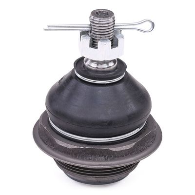 Шарнири RIDEX 2462S0557