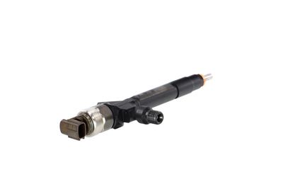 INJECTOR REMANTE 002003001205R 35