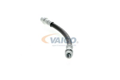 FURTUN FRANA VAICO V104136 21