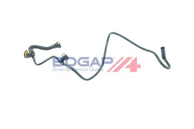 Hose, crankcase ventilation