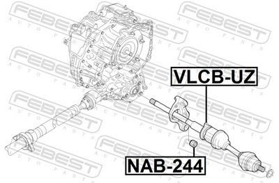 RULMENT AX CARDANIC FEBEST VLCBUZ 1
