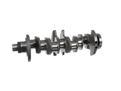 ARBORE COTIT ET ENGINETEAM HK0230 16