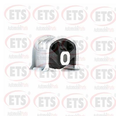 окачване, двигател ETS 31.EM.846