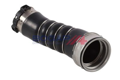 FURTUN EAR SUPRAALIMENTARE BOGAP B1711235 3