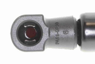 GASFEDER KOFFER-/LADERAUM VAICO V480319 7