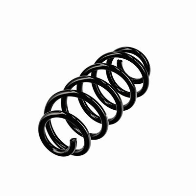 ARC SPIRAL EIBACH R10811 3