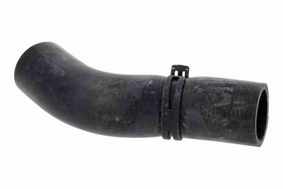 FURTUN RADIATOR ACKOJA A520879 3