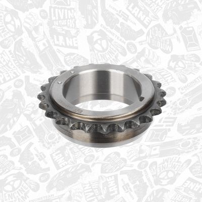 CHIT LANT DE DISTRIBUTIE ET ENGINETEAM RS0038 6