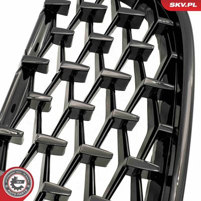 GRILA RADIATOR ESEN SKV 66SKV093 5