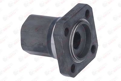 FLANSA LICHID RACIRE BIRTH 4030 5