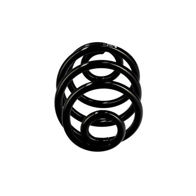 ARC SPIRAL EIBACH R10173 13