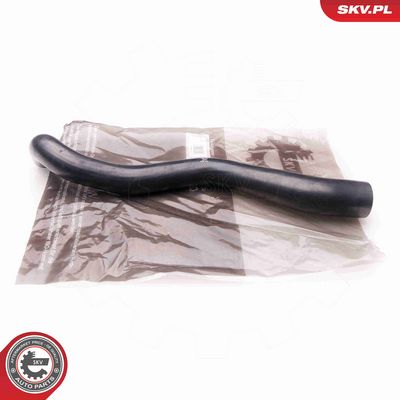 FURTUN EAR SUPRAALIMENTARE