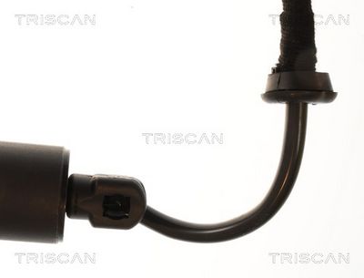 Amortizor portbagaj TRISCAN 8710 29336