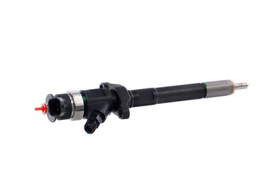 INJECTOR REMANTE 002003001727R 38