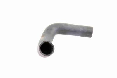 LADELUFTSCHLAUCH VAICO V480062 8