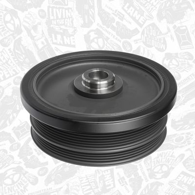 FULIE CUREA ARBORE COTIT ET ENGINETEAM PC0024 3