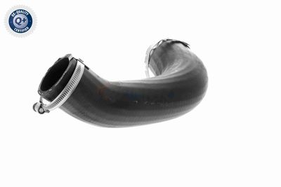 LADELUFTSCHLAUCH VAICO V251058 4