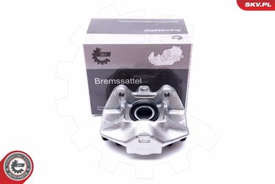 Brake Caliper 42SKV652