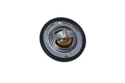 TERMOSTAT LICHID RACIRE NRF 725065 45