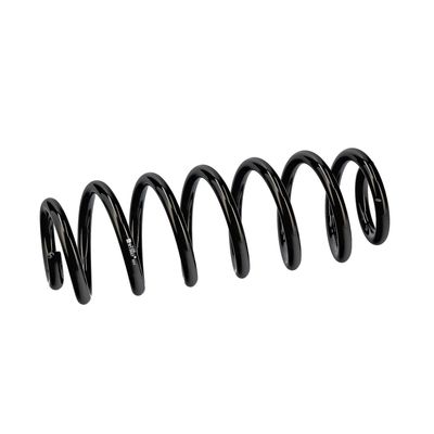 ARC SPIRAL EIBACH R13607 6