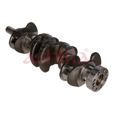 ARBORE COTIT ASHIKA 18KI003 5