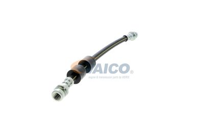 FURTUN FRANA VAICO V251328 50