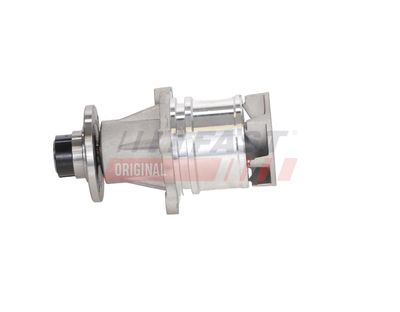 POMPă DE APă RăCIRE MOTOR FAST FT04466 13