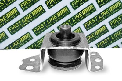окачване, двигател FIRST LINE FEM3036