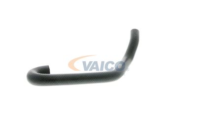 FURTUN RADIATOR VAICO V201701 31