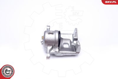 Brake Caliper 42SKV491