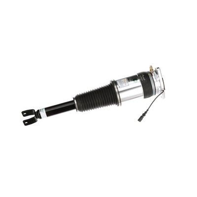 LUFTFEDERBEIN Arnott AS3031 63