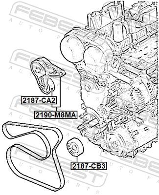 INTINZATOR CUREA CUREA DISTRIBUTIE FEBEST 2190M8MA 1