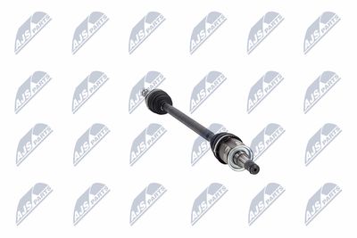 PLANETARA NTY NPWCH094 32