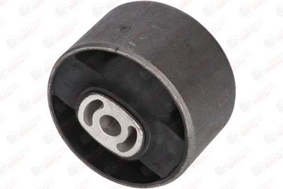 SUPORT MOTOR BIRTH 5925 8