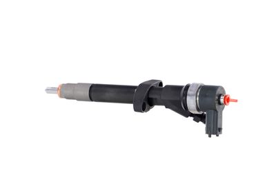 INJECTOR REMANTE 002003001027R 15